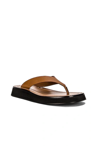 The Row Ginza Flip-flop Smooth Calfskin Sandals In Caramel