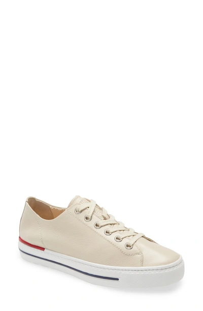 Shop Paul Green Carly Low Top Sneaker In Bisc Ice C
