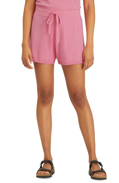 Shop Sanctuary Essential Cotton Blend Pull-on Shorts In Sugar Pink