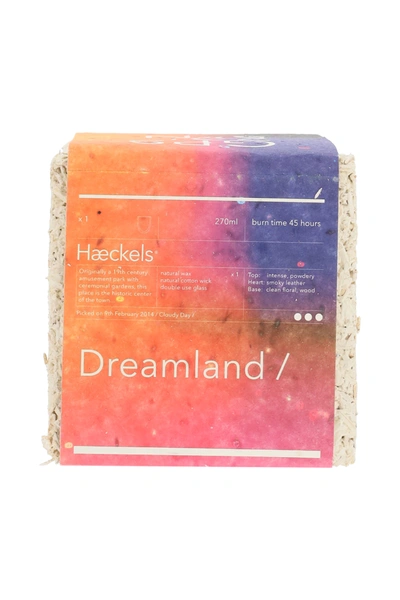 Shop Haeckels Dreamland Candle Os