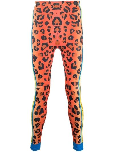 Shop Walter Van Beirendonck Leopard-print Bike Leggings In Orange