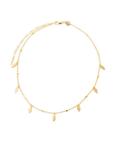 Shop Missoma Leaf Charm Choker In Gold