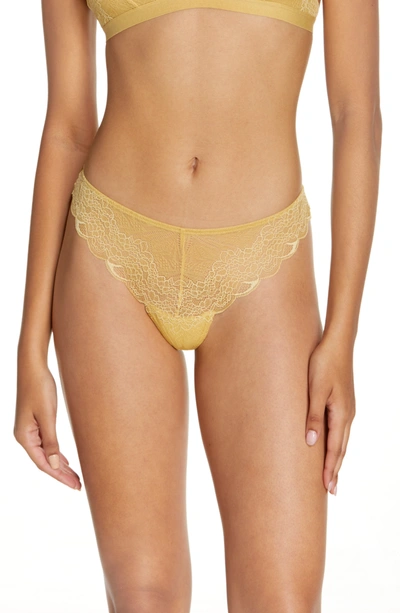 Shop Madewell Lace Tanga Panties In Autumn Gold