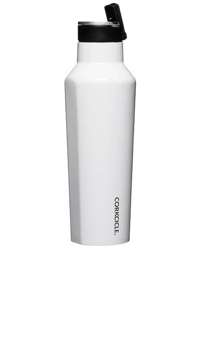 Shop Corkcicle Sport Canteen 20 oz In White