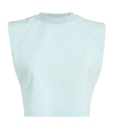 Shop Alice And Olivia Sleeveless Braxton Crop Top In Blue