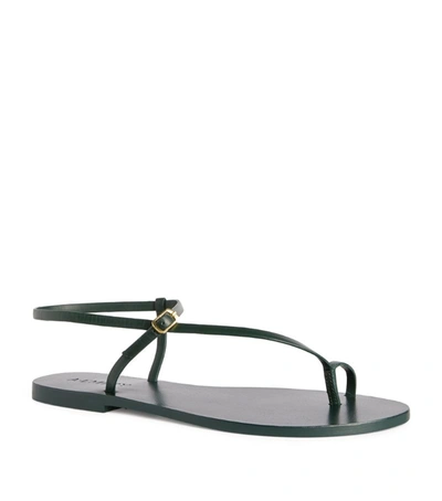 Shop A.emery Leather Lily Sandals In Green