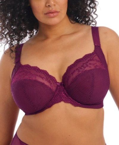 Shop Elomi Full Figure Charley Stretch Lace Bra El4382, Online Only In Fuschia