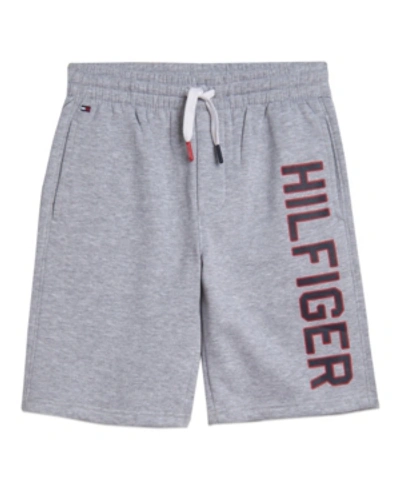 Shop Tommy Hilfiger Little Boys Graphic Knit Short In Gray