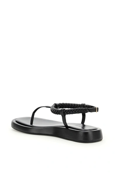 Shop Gia Rhw Rosie 3 Thong Sandals In Black