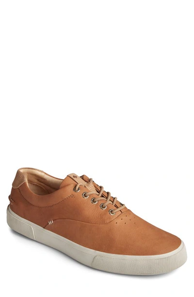 Shop Sperry Striper Plushwave Sneaker In Soft Tan