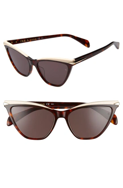 Shop Rag & Bone 55mm Cat Eye Sunglasses In Dark Havana