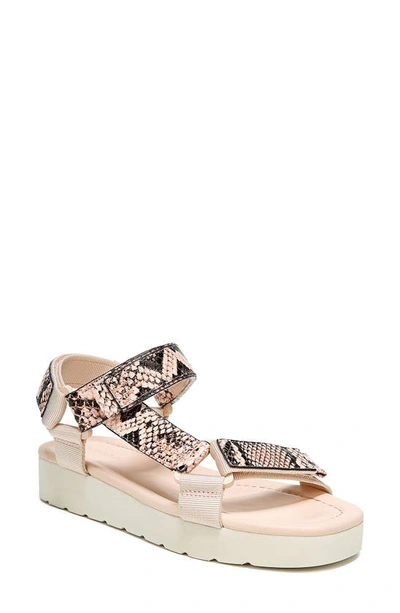 Shop Vince Carver Sport Sandal In Lychee