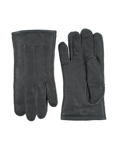 Shop Parajumpers Gloves In Lead