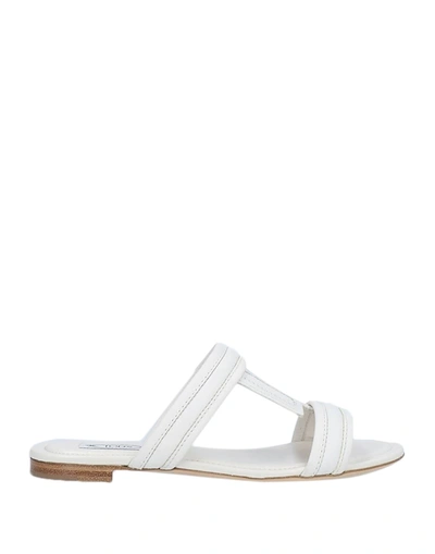 Shop Tod's Woman Sandals White Size 5 Calfskin