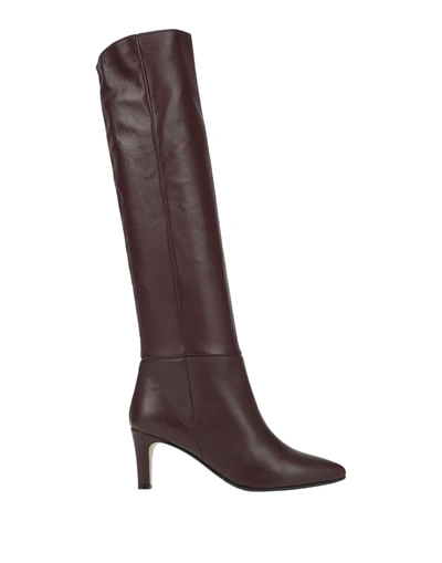 Shop L'arianna Knee Boots In Cocoa