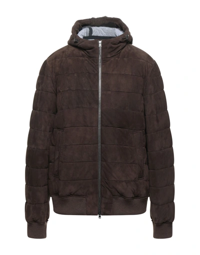 Shop Herno Man Jacket Dark Brown Size 44 Goat Skin, Wool, Acrylic