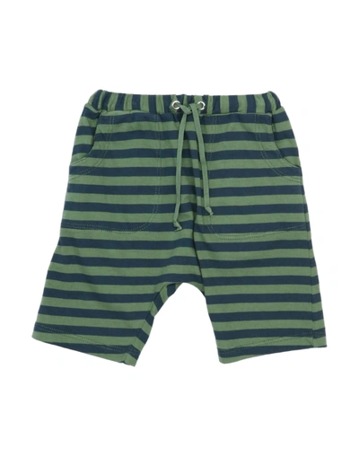 Shop Zhoe & Tobiah Newborn Boy Pants Military Green Size 3 Cotton
