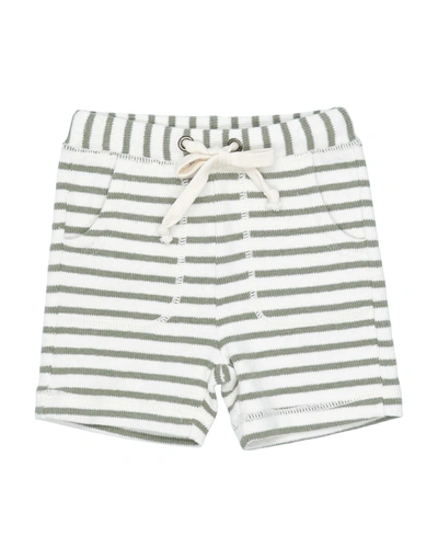 Shop Zhoe & Tobiah Newborn Boy Shorts & Bermuda Shorts Military Green Size 3 Cotton, Polyester, Elastane