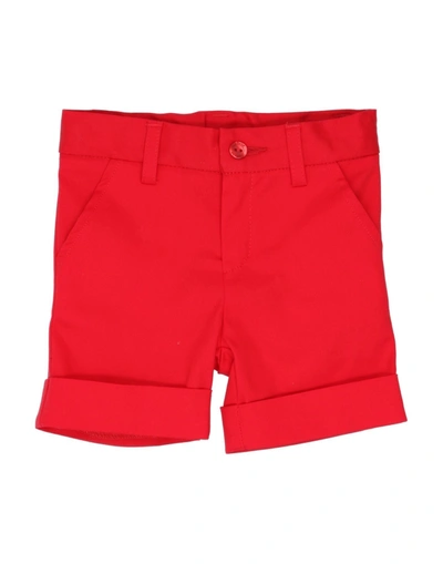 Shop Le Bebé Shorts & Bermuda Shorts In Red