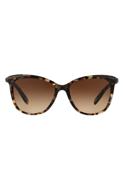 Shop Ralph Lauren 54mm Gradient Cat Eye Sunglasses In Lspot Tort