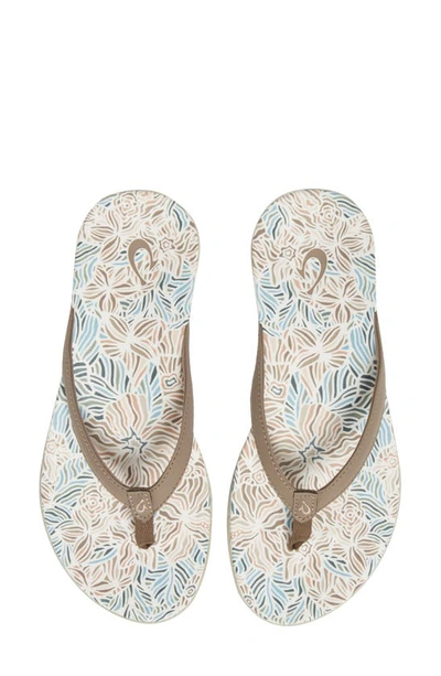 Shop Olukai Ho'opio Hau Flip Flop In Warm Taupe/ Hau