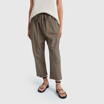 Shop Co Elastic-waist Drawstring Pants In Taupe