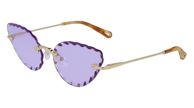 Shop Chloé Purple Cat Eye Ladies Sunglasses Ce157s 852 60 In Gold Tone,purple