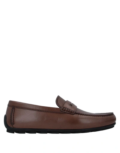 Shop Ermenegildo Zegna Zegna Man Loafers Brown Size 7.5 Soft Leather