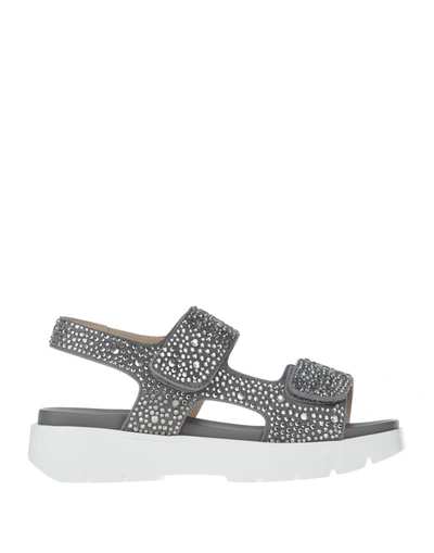 Shop Gianmarco Lorenzi Sandals In Grey