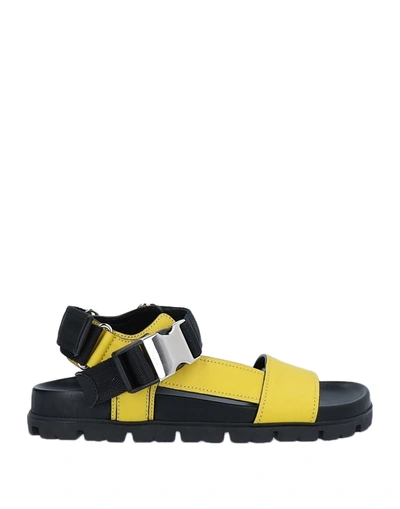 Prada Sandals In Yellow | ModeSens