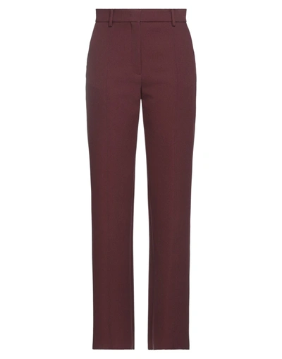 Shop Msgm Woman Pants Cocoa Size 8 Polyester, Viscose, Elastane In Brown