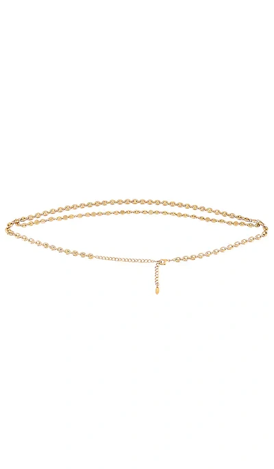 Ettika Chain Belt In Metallic Gold