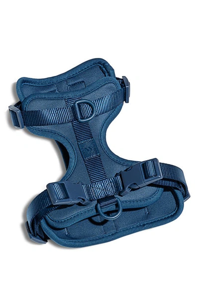 Shop Wild One Dog Harness In Navy