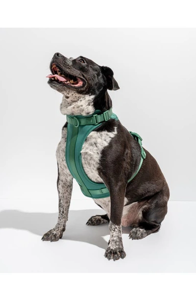 Shop Wild One Dog Harness In Spruce