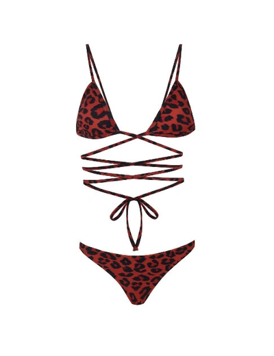 Shop Anais & Margaux Rachela Cinnamon Leopard Bikini In Red