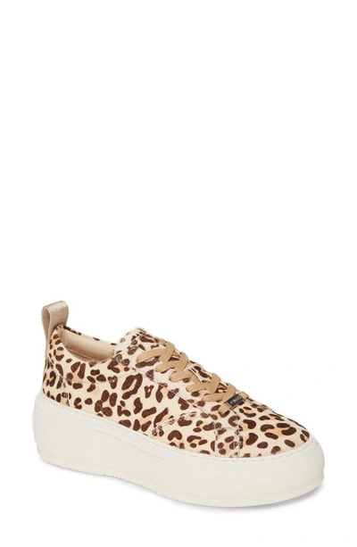 Shop Jslides Courto Genuine Calf Hair Platform Sneaker In Natural Leopard Calf Hair
