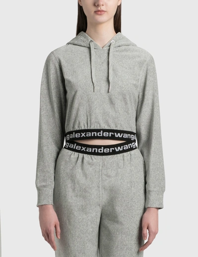 Shop Alexander Wang T Stretch Corduroy Cropped Hoodie In Grey