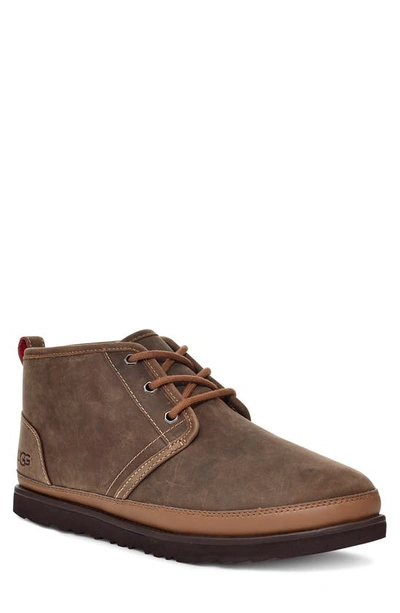 Shop Ugg (r)  Neumel Waterproof Chukka Boot In Military Sand Leather