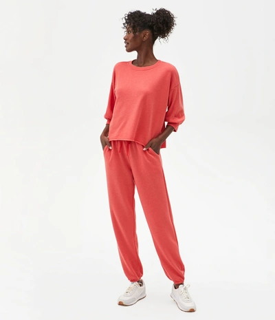Shop Michael Stars Ray Jogger In Red