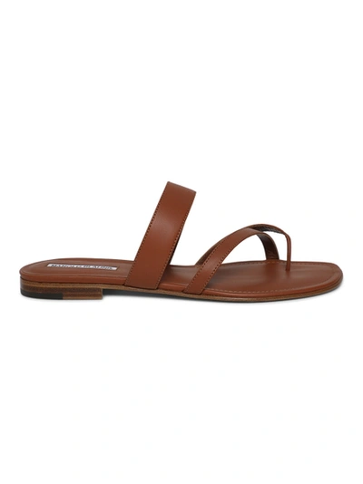Shop Manolo Blahnik Susa Leather Thong Sandal, Brown