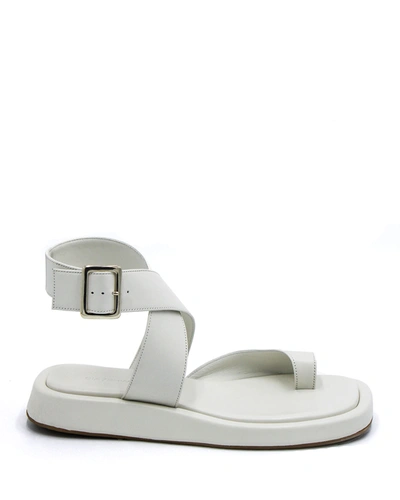 Shop Gia/rhw Toe-ring Flat Sporty Sandals In White