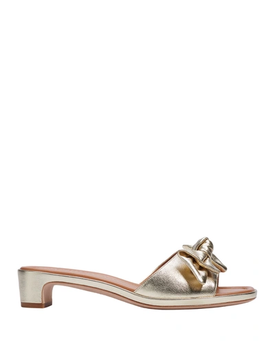 Shop Kate Spade Lilah Metallic Knotted Bow Slide Sandals In Pale Gold