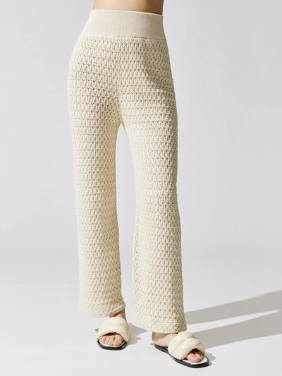 Shop Mr Mittens Lace Trousers In Ivory
