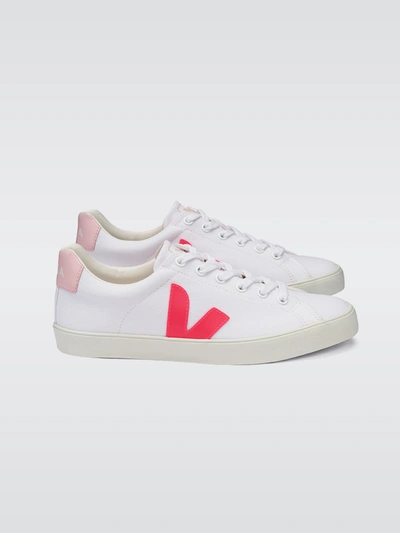 Shop Veja Esplar-se Canvas Low Top Sneaker In White-rose-fluo-petale