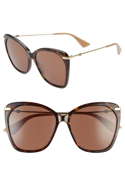 Shop Gucci 56mm Cat Eye Sunglasses In Havana/ Brown/ Gold