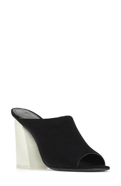 Shop Mercedes Castillo Izar Mule In Black Suede