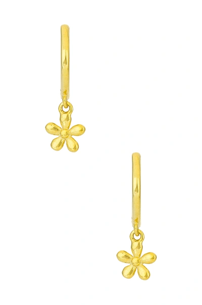 Shop Adinas Jewels Solid Flower Huggies In Gold