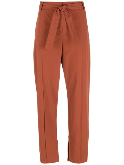 Shop Alcaçuz Sensato Straight Trousers In Brown