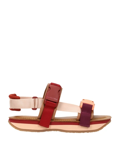 Shop See By Chloé Ysee Sandals Woman Sandals Brown Size 7 Textile Fibers