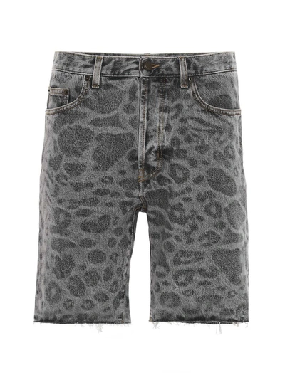 Shop Saint Laurent Leopard Print Denim Shorts In Grey